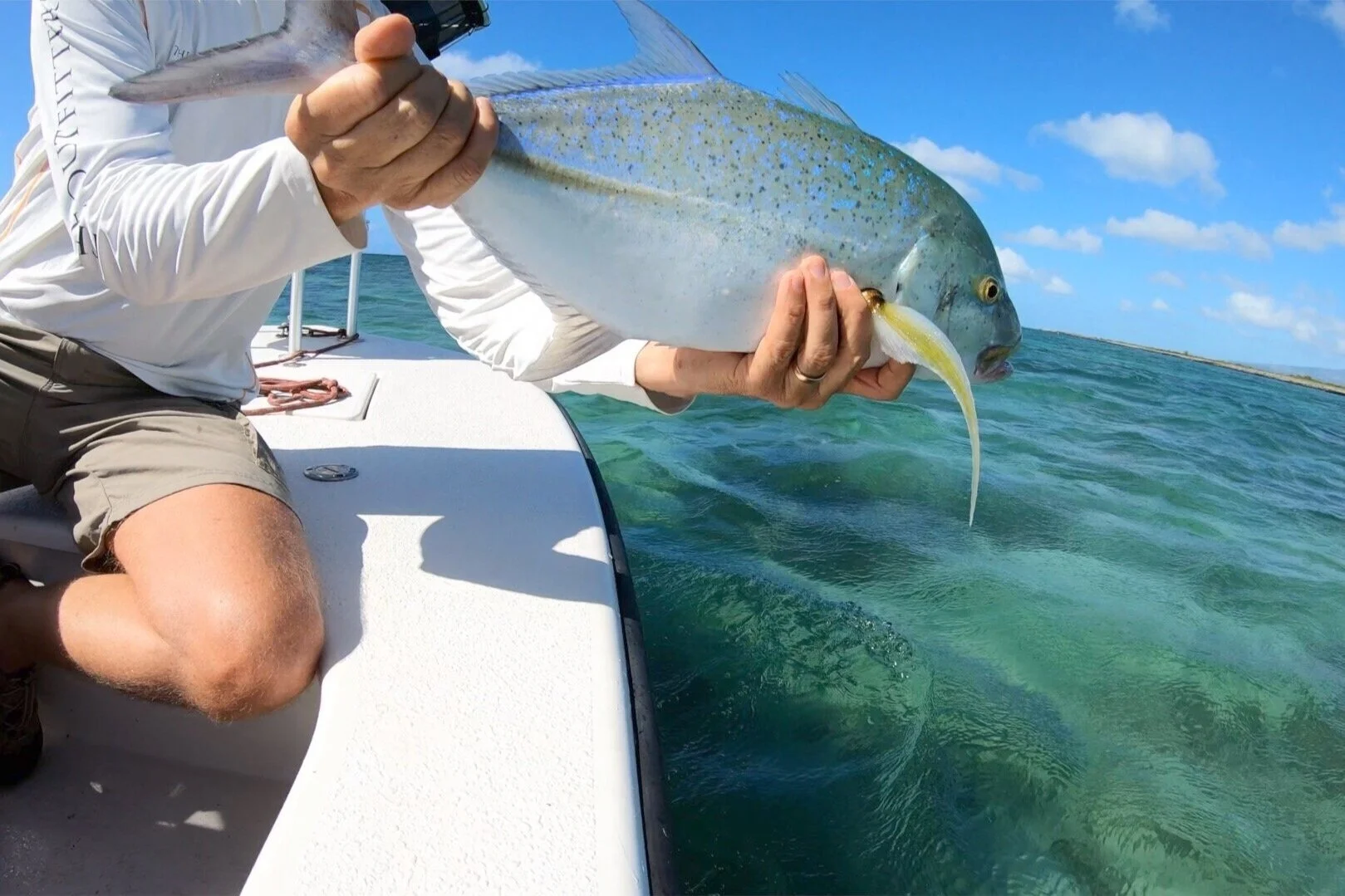 trevally.jpg