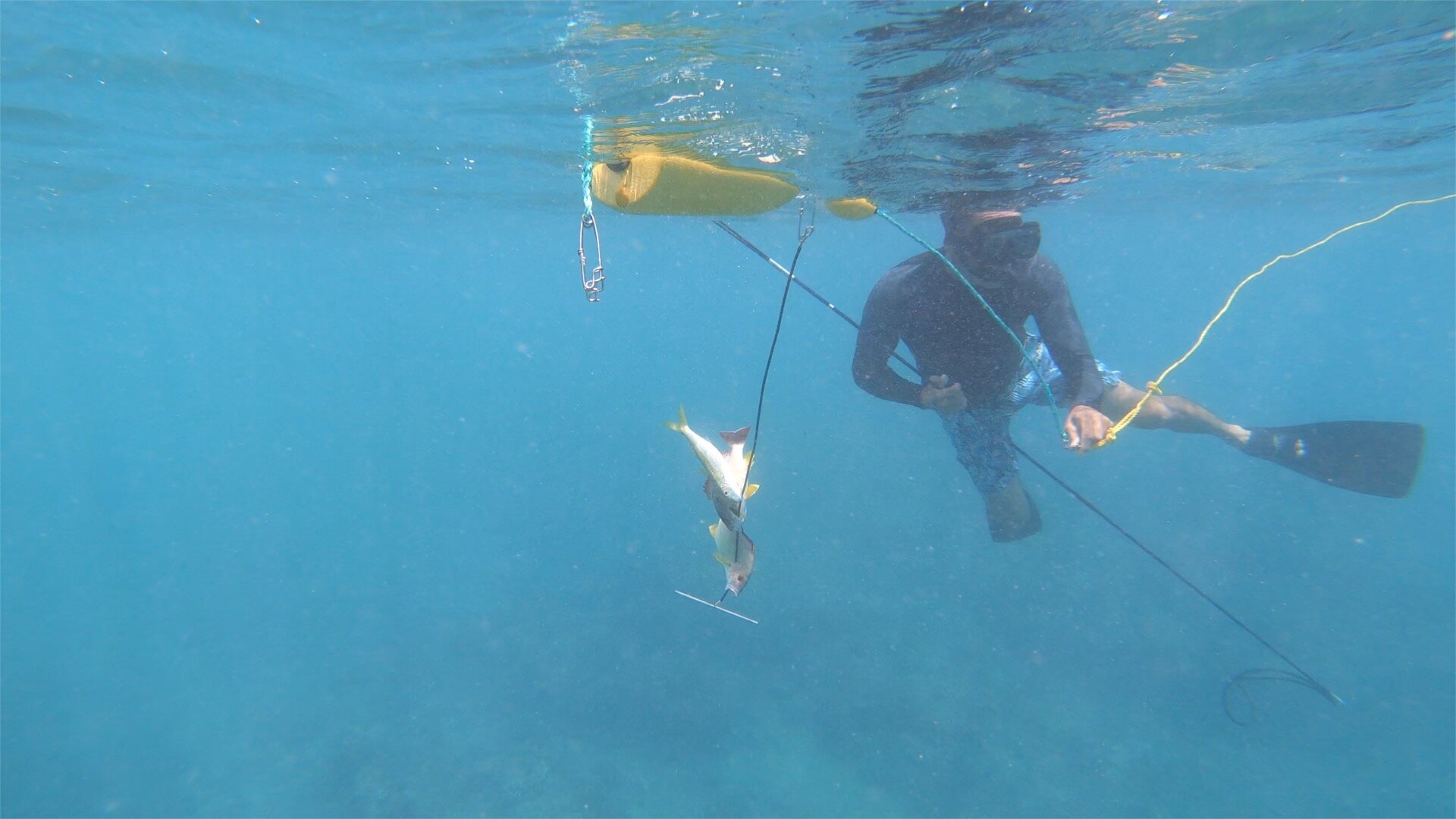 Spear Fishing — Keawe Adventures Private Tours