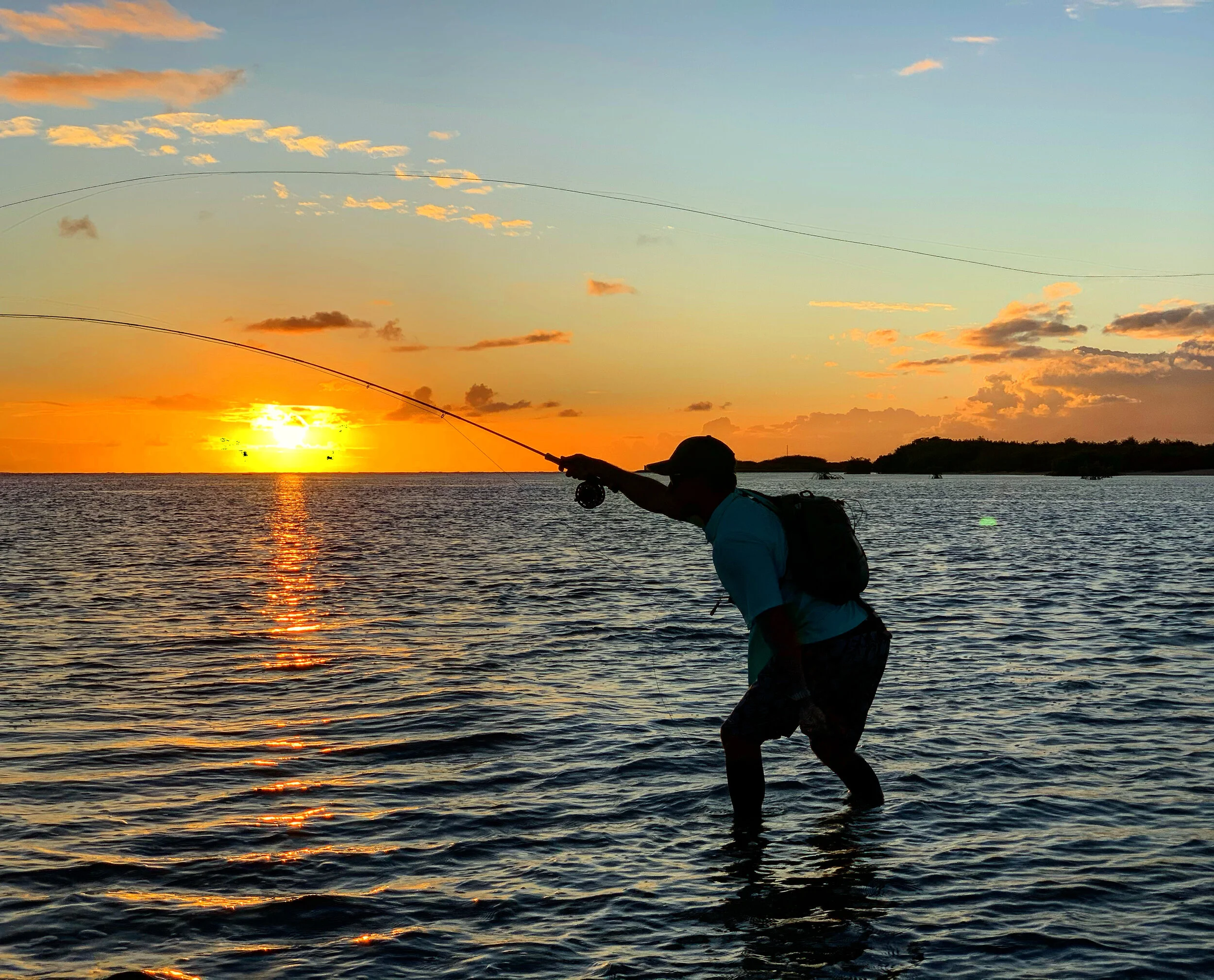 From Hawaii to the East Coast and Back