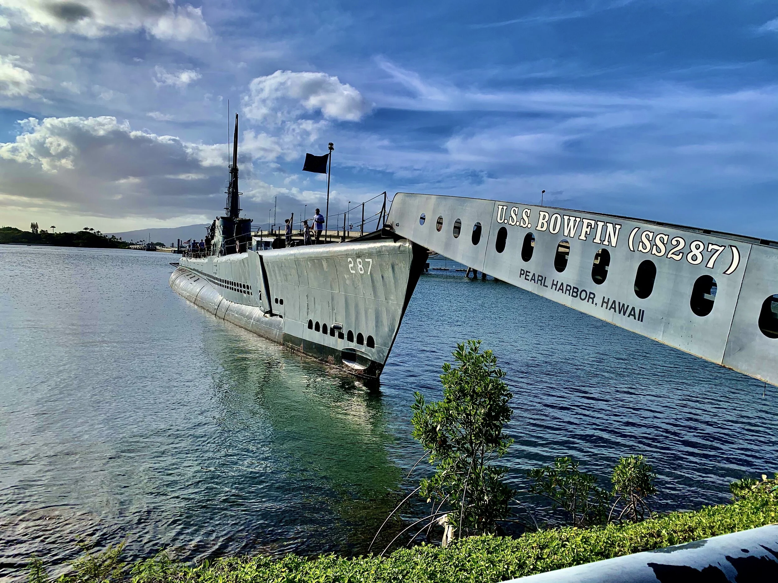 Traveling to Pearl Harbor with Kids