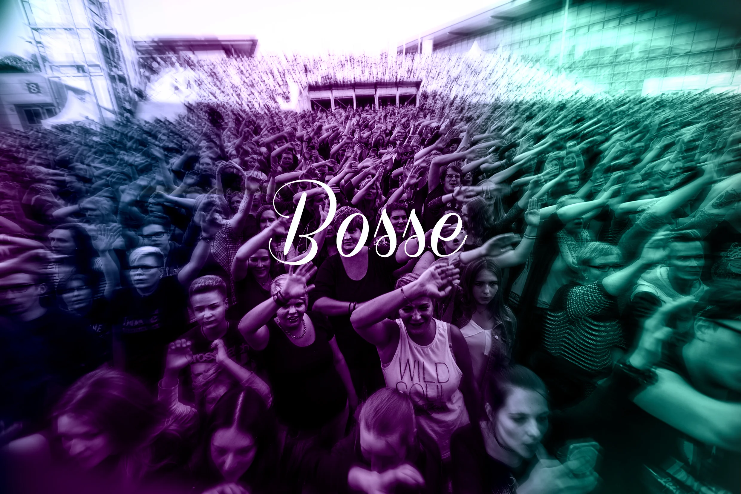 Bosse00.jpg
