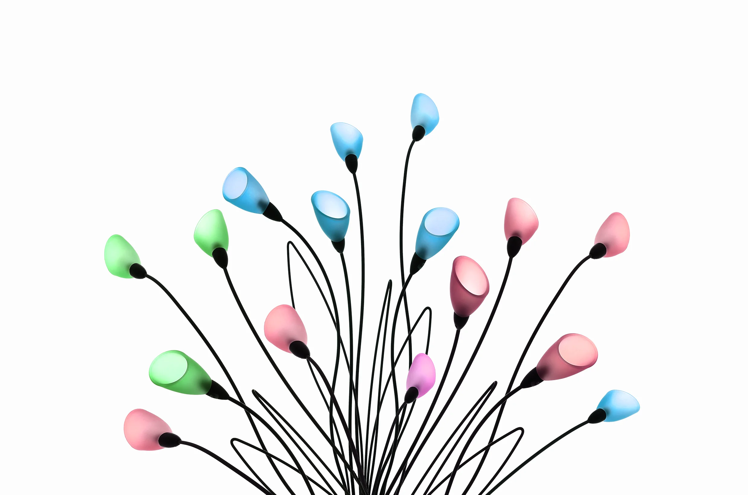 Crazy flowers
