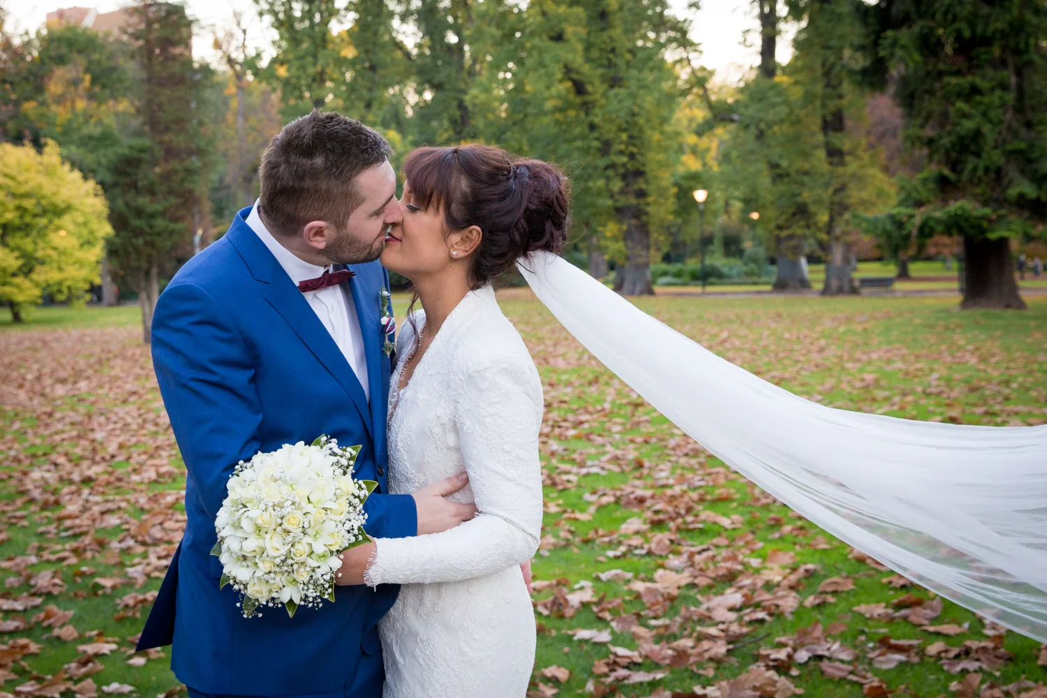 Four Daisies - Melbourne wedding photographer, Fitzroy Gardens, romantic veil, photography