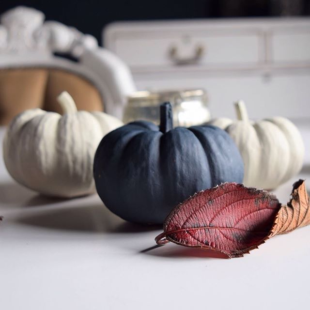 Happy Halloween 🎃👻🕸🖤
⠀
#pumpkins #pumpkin #halloween #autumn #autumnleaves #myhousethismonth #halloweendecor #halloweendecorations #halloween2018 #falldecor #falldecorations #falldecorating #halloweenpumpkin #halloweenpumpkins #myhouseinoctober #