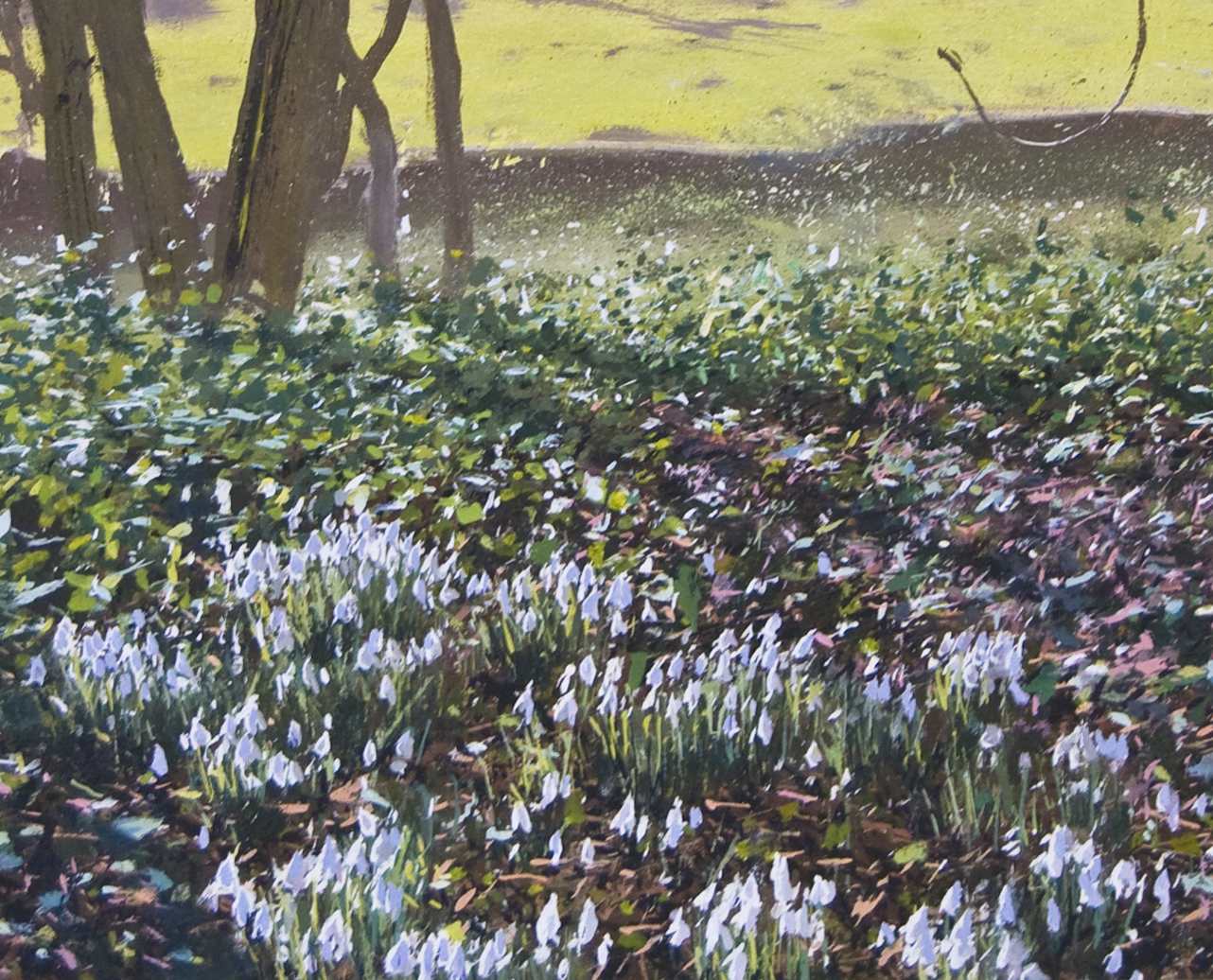 Snowdrops at Newark Park