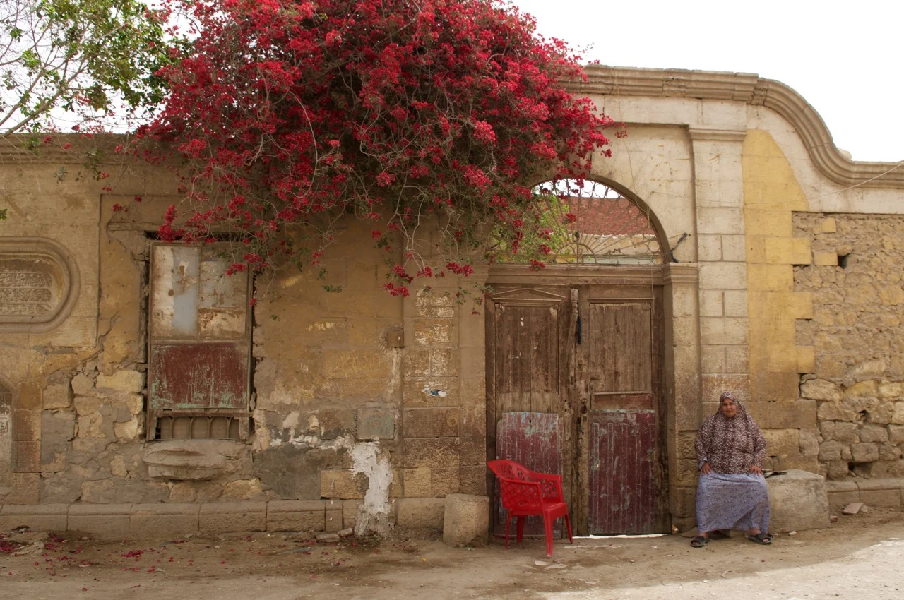 city-of-the-dead - 2.jpg