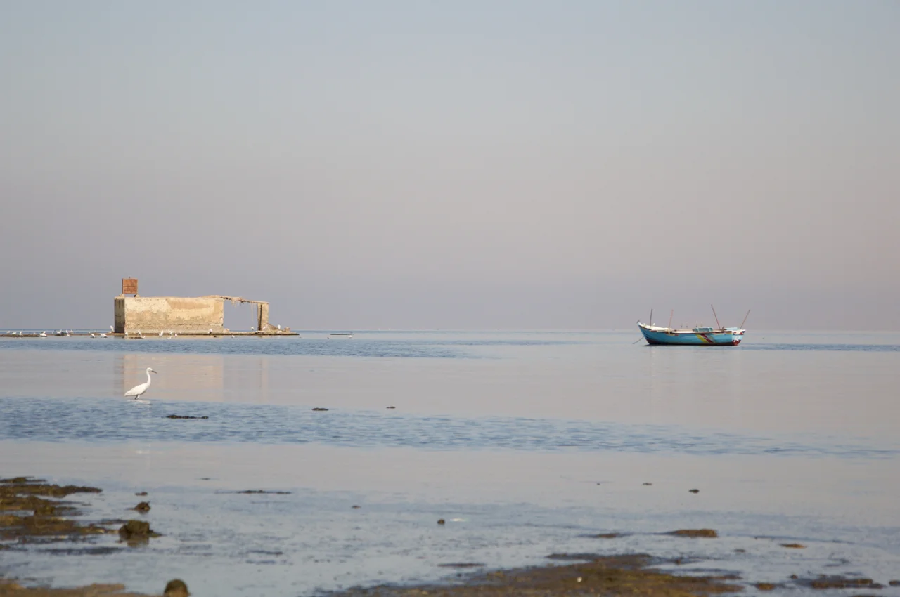 Lake Qarun. Fayoum. Egypt. 2018. © Michele Cortina