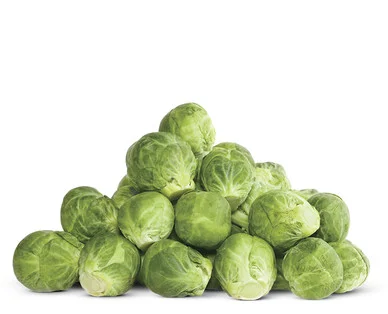 image1-3.jpeg