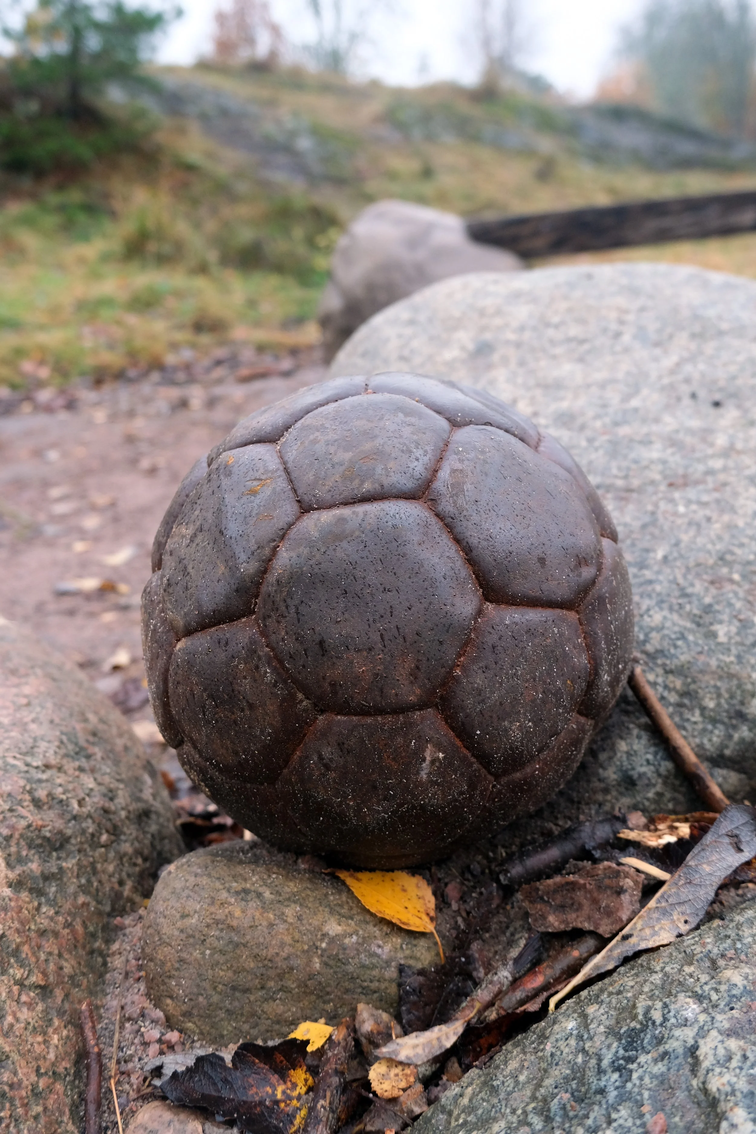DSCF8318.jpg