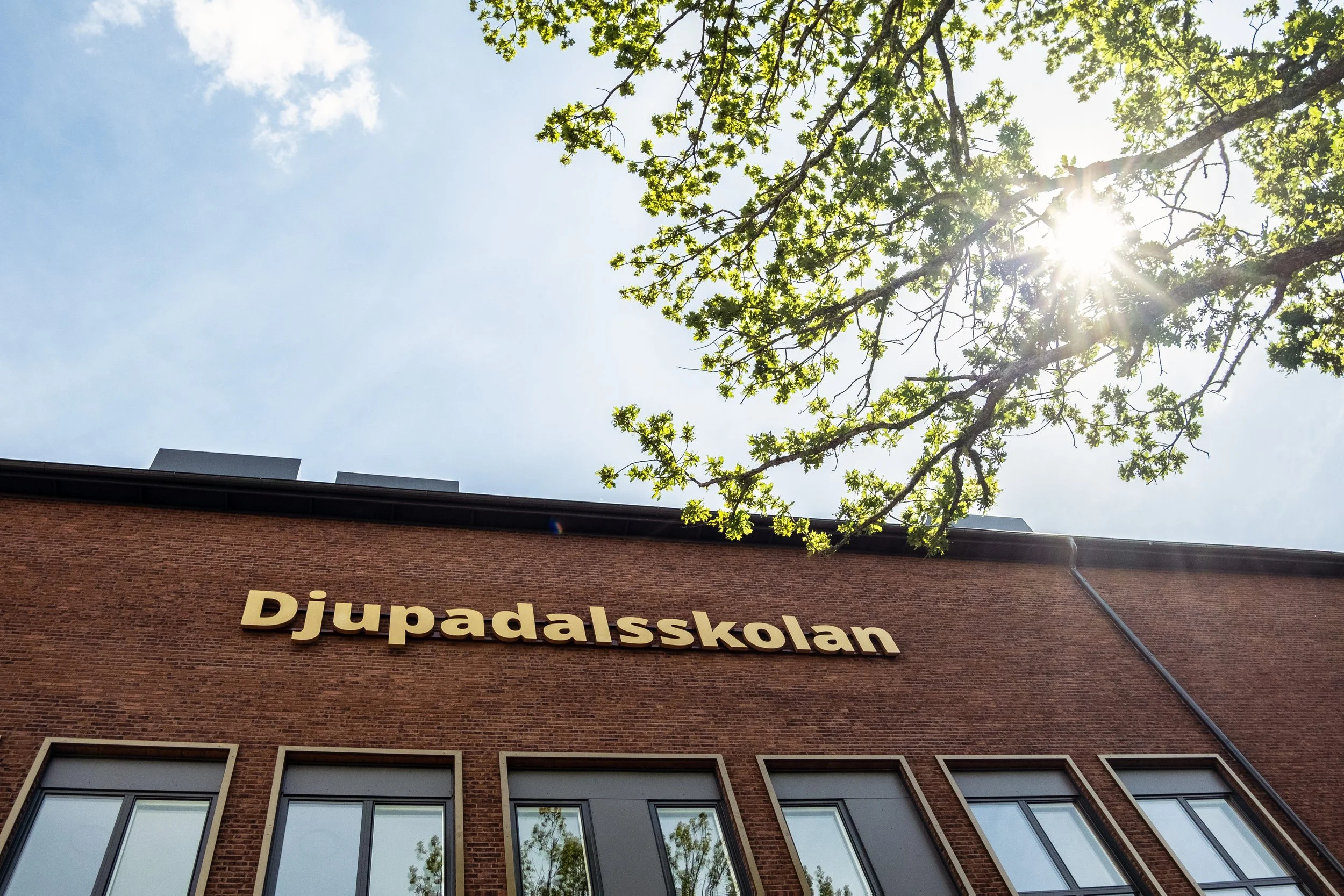 Hanna Hedman_Djupadalskolan_1.jpg