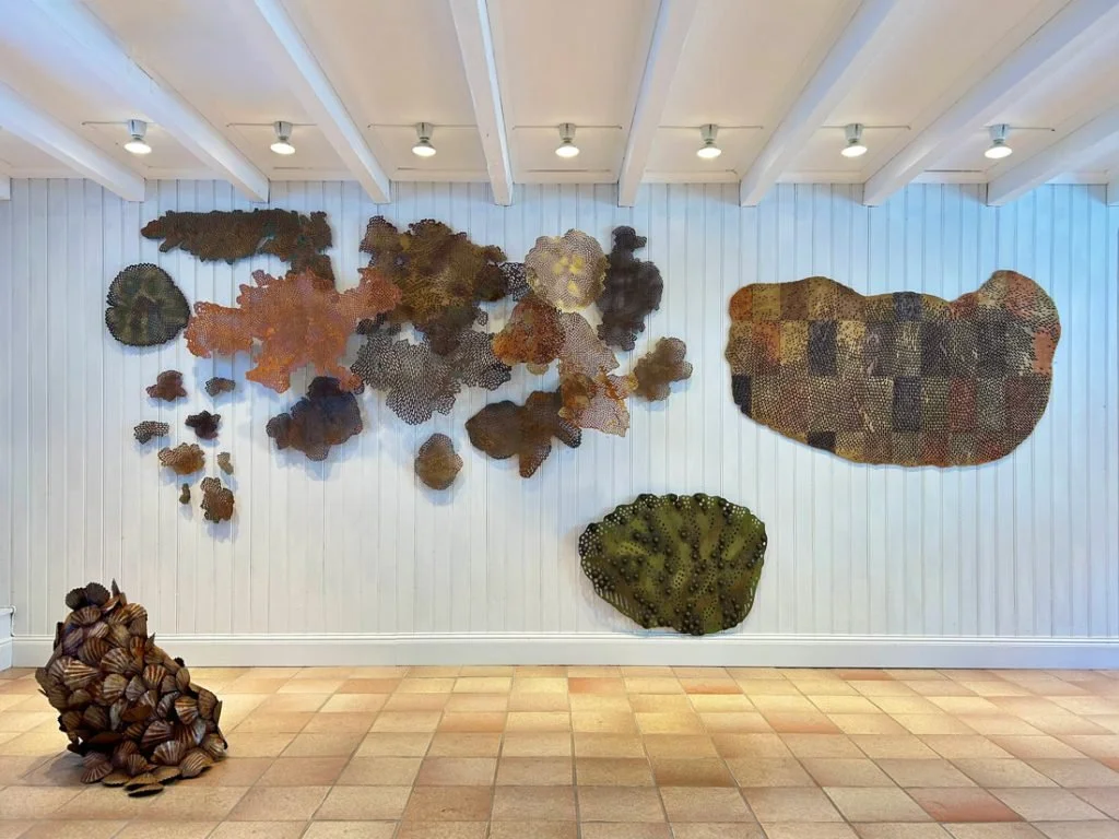 Hanna Hedman_Costal paths_25.jpg
