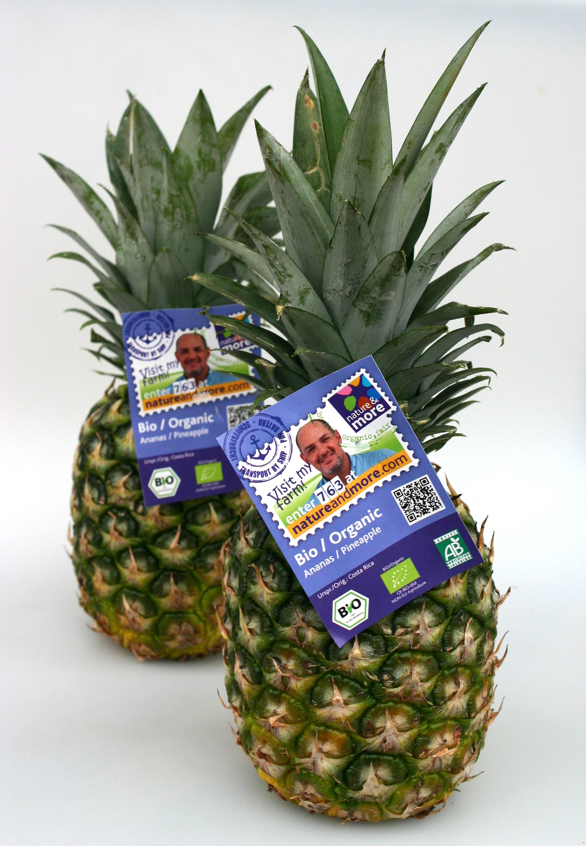 Bio ananas als venster naar de andere kant van de wereld — QM intelligence