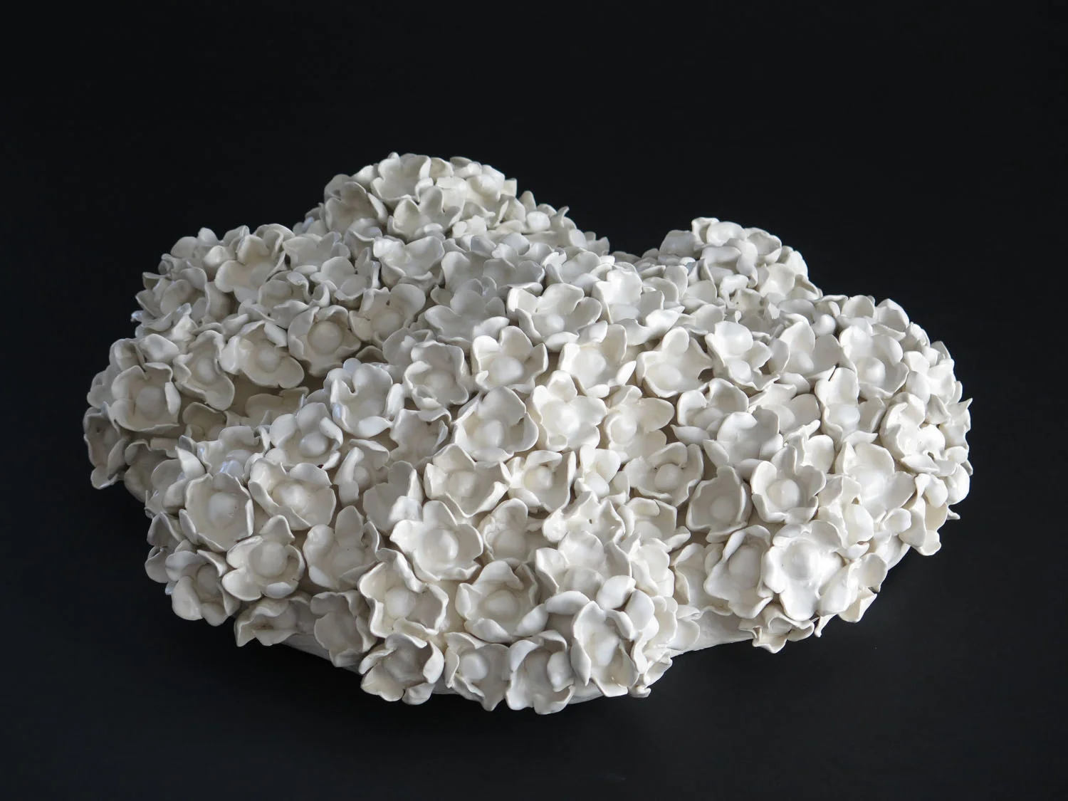 Feverfew II, 2017