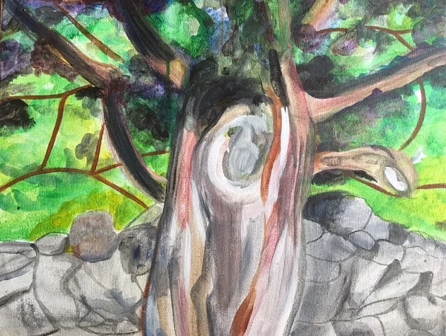 Old Tree, Stone Wall, 2018