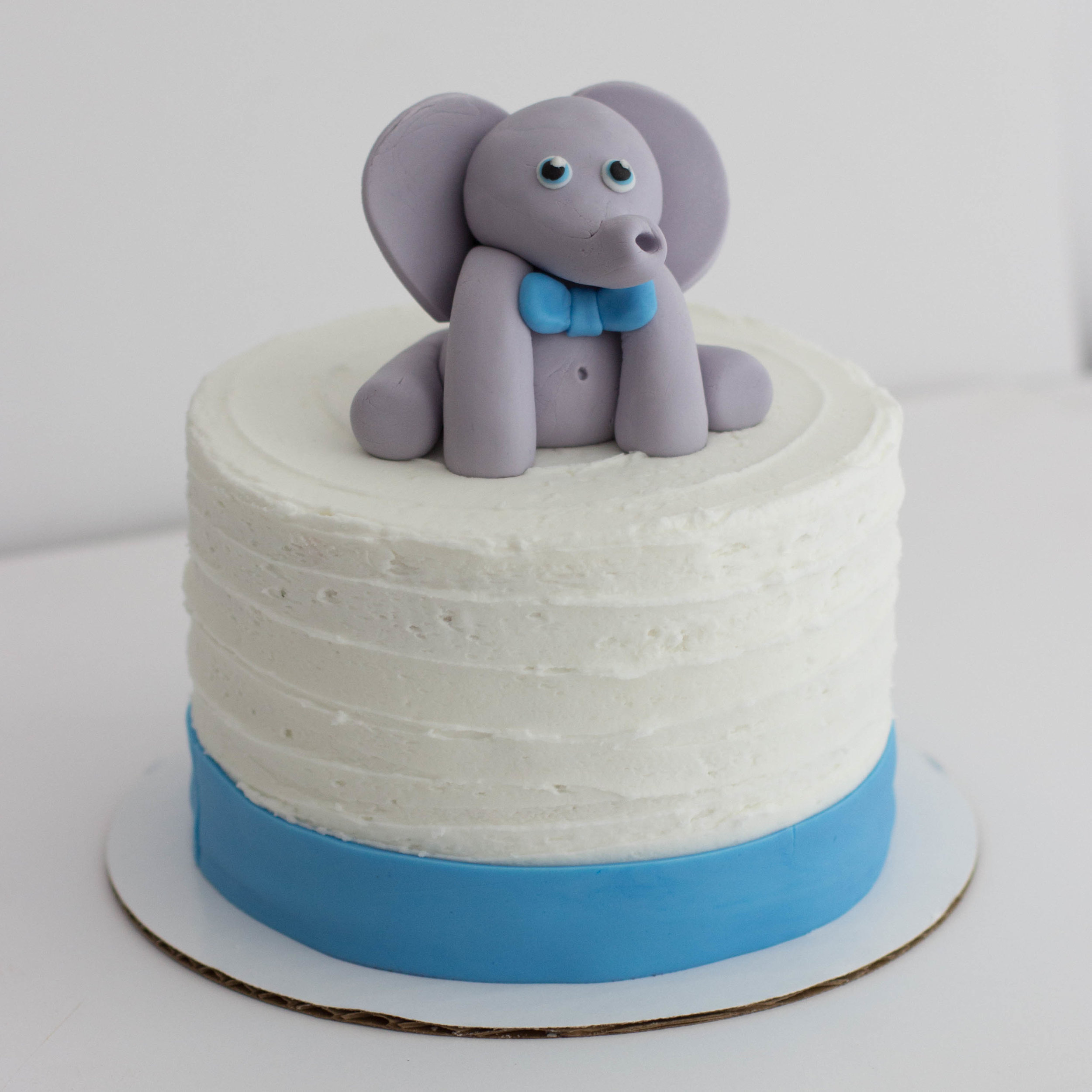 elephant cake (1 of 1).jpg