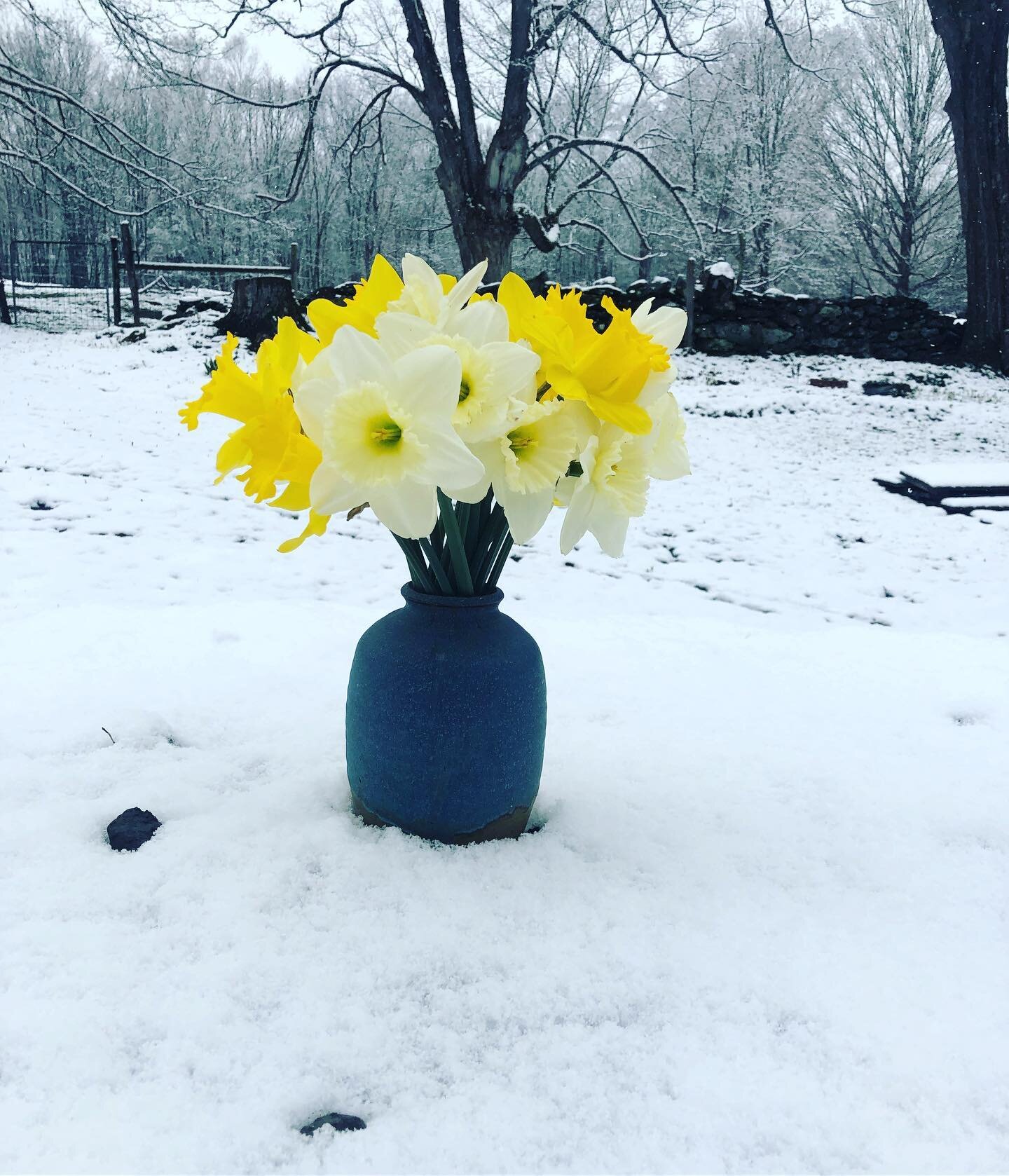 April Snows bring May Flowers @ Sun Hill Farm!