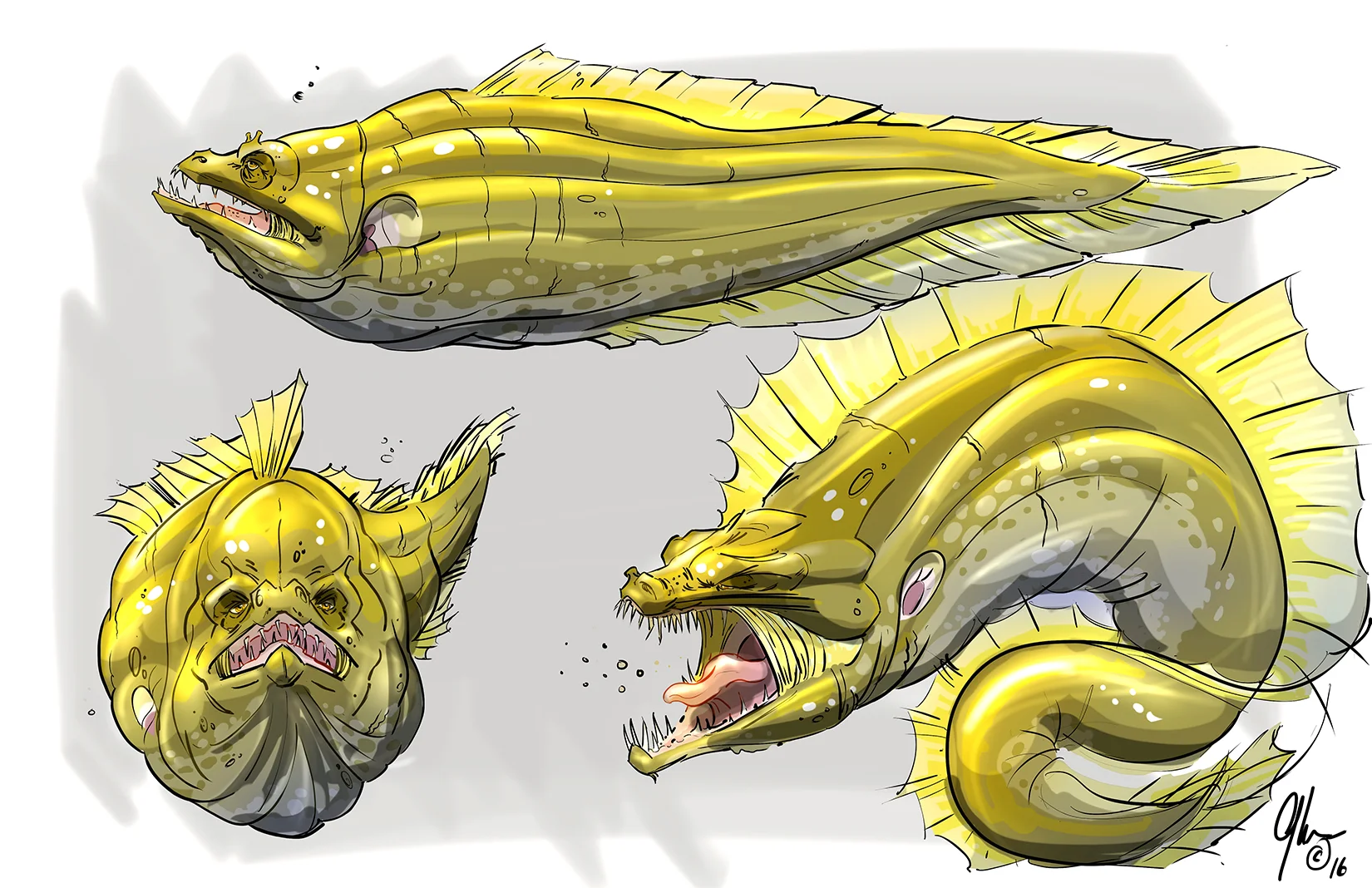 Moray Eels Small.jpg