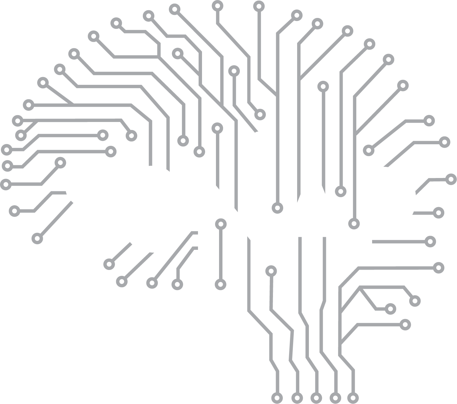Ssnap Example SSNAP
