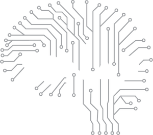 Ssnap Example SSNAP