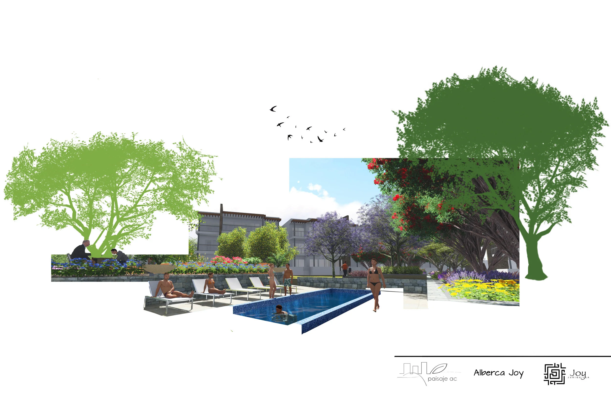 Vista alberca Joy.jpg