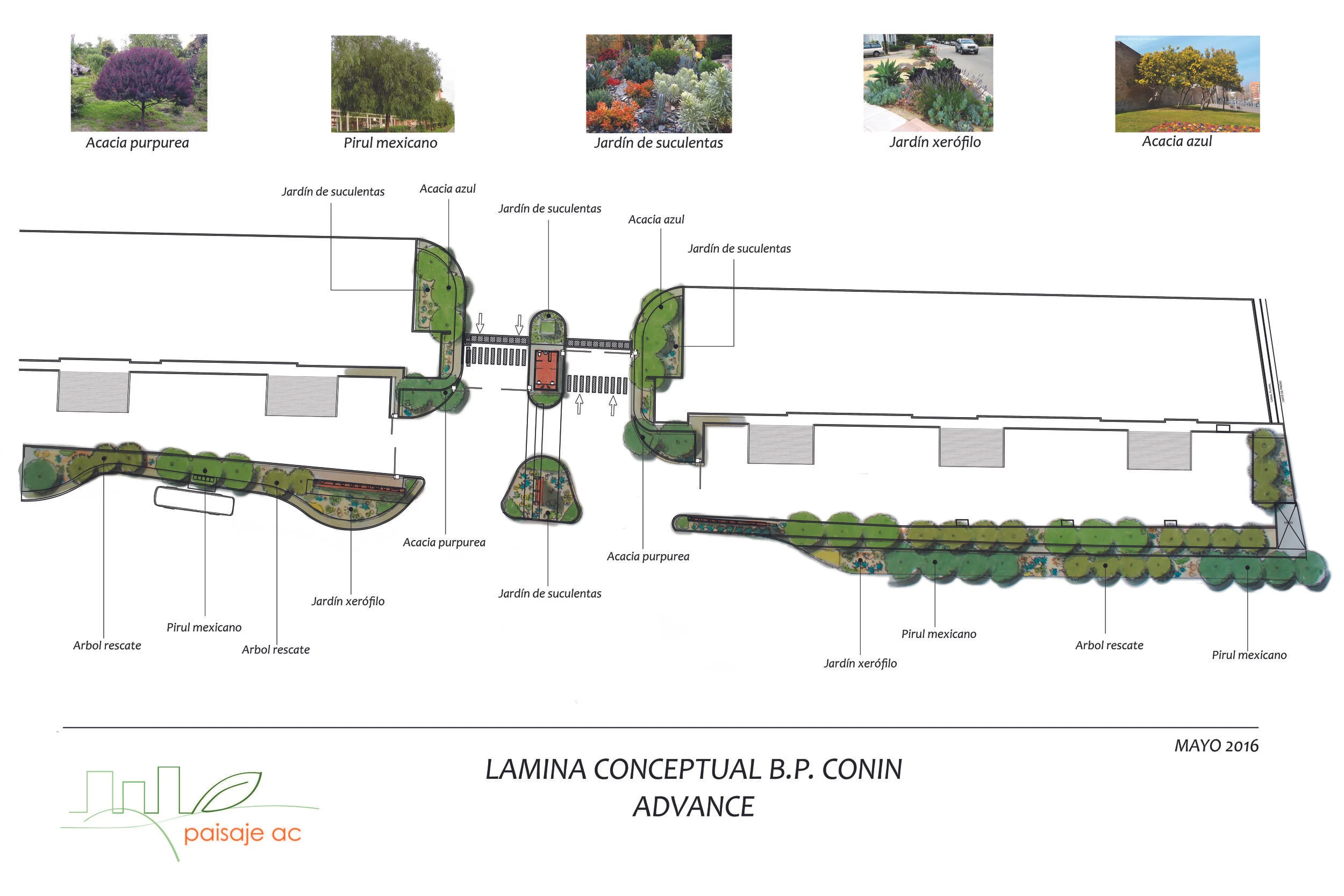 Lamina conceptual B.P. Conin.jpg