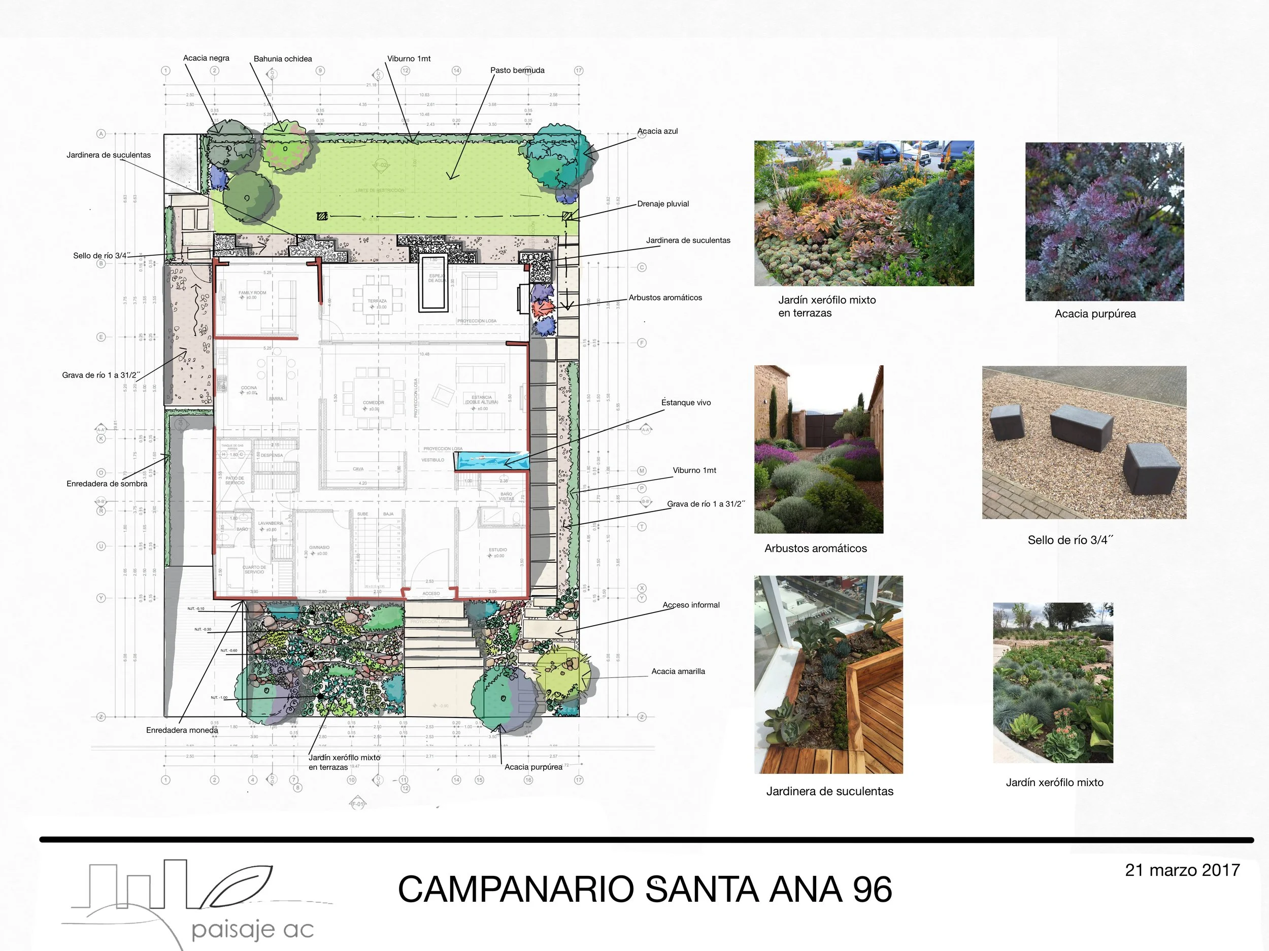 CONCEPTUAL SANTA ANA 96.JPG