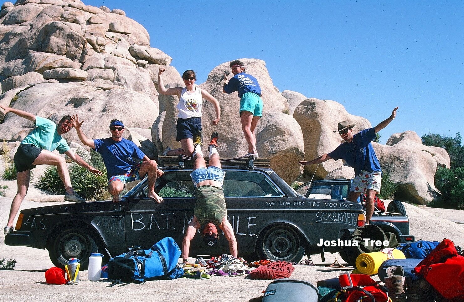 Joshua Tree Nigel J Bennett