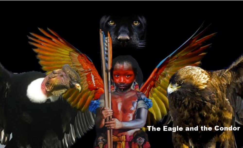 Nigel J Bennett Eagle and Condor