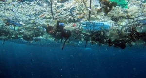 860 undersea_trash.jpg