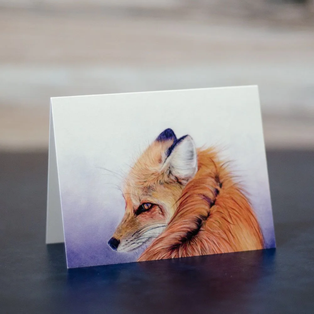 Pastel drawing of a red fox in the wind during winter. This drawing is printed on a blank greeting card.