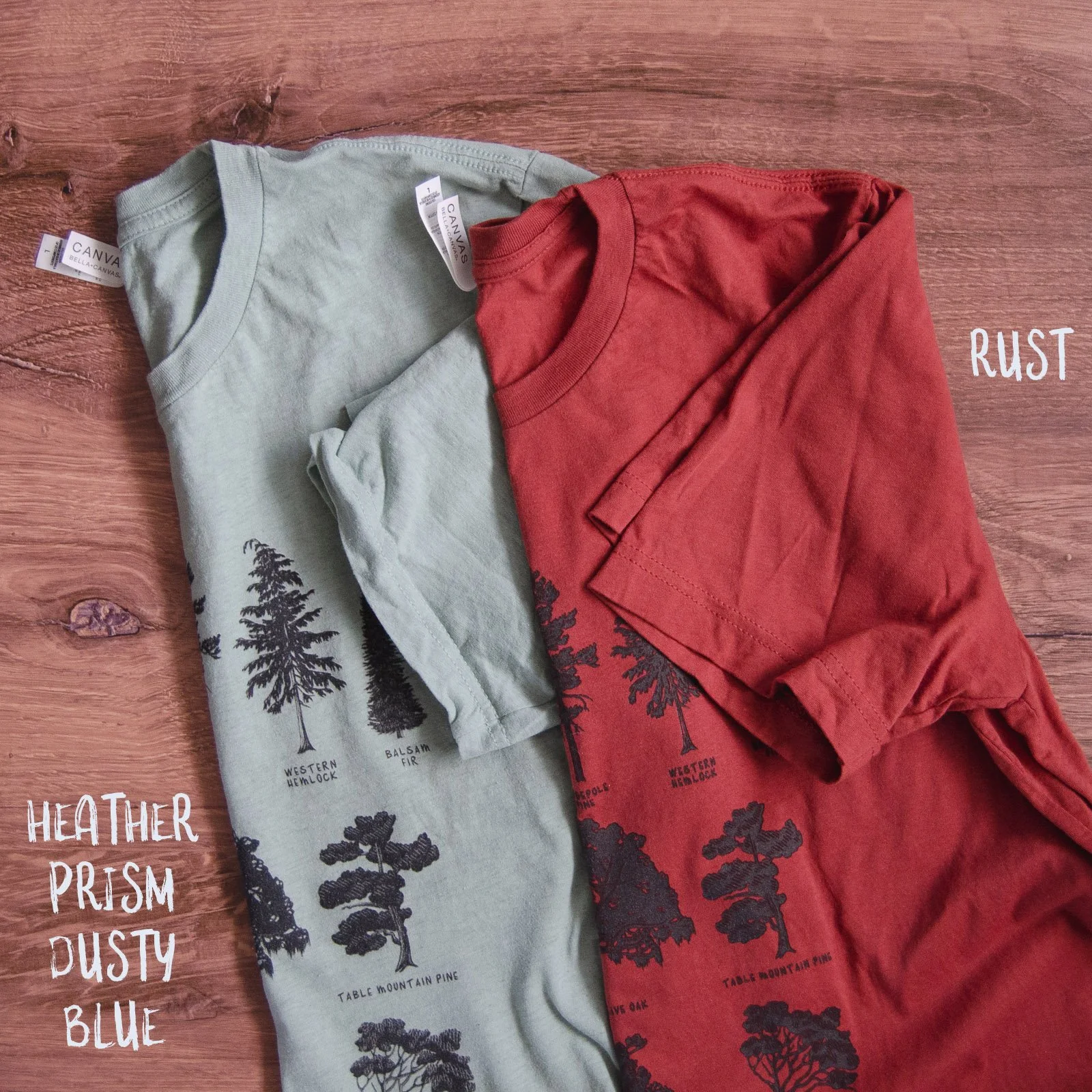 Dusty Blue vs Rust TEXT.jpg