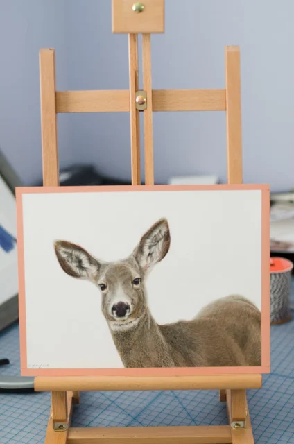 "Mule Deer" - Original 9" x 12" Pastel Painting