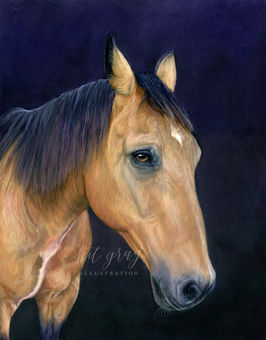 Bullwinkle - Quarter Horse in Pastel, 11" x 14"