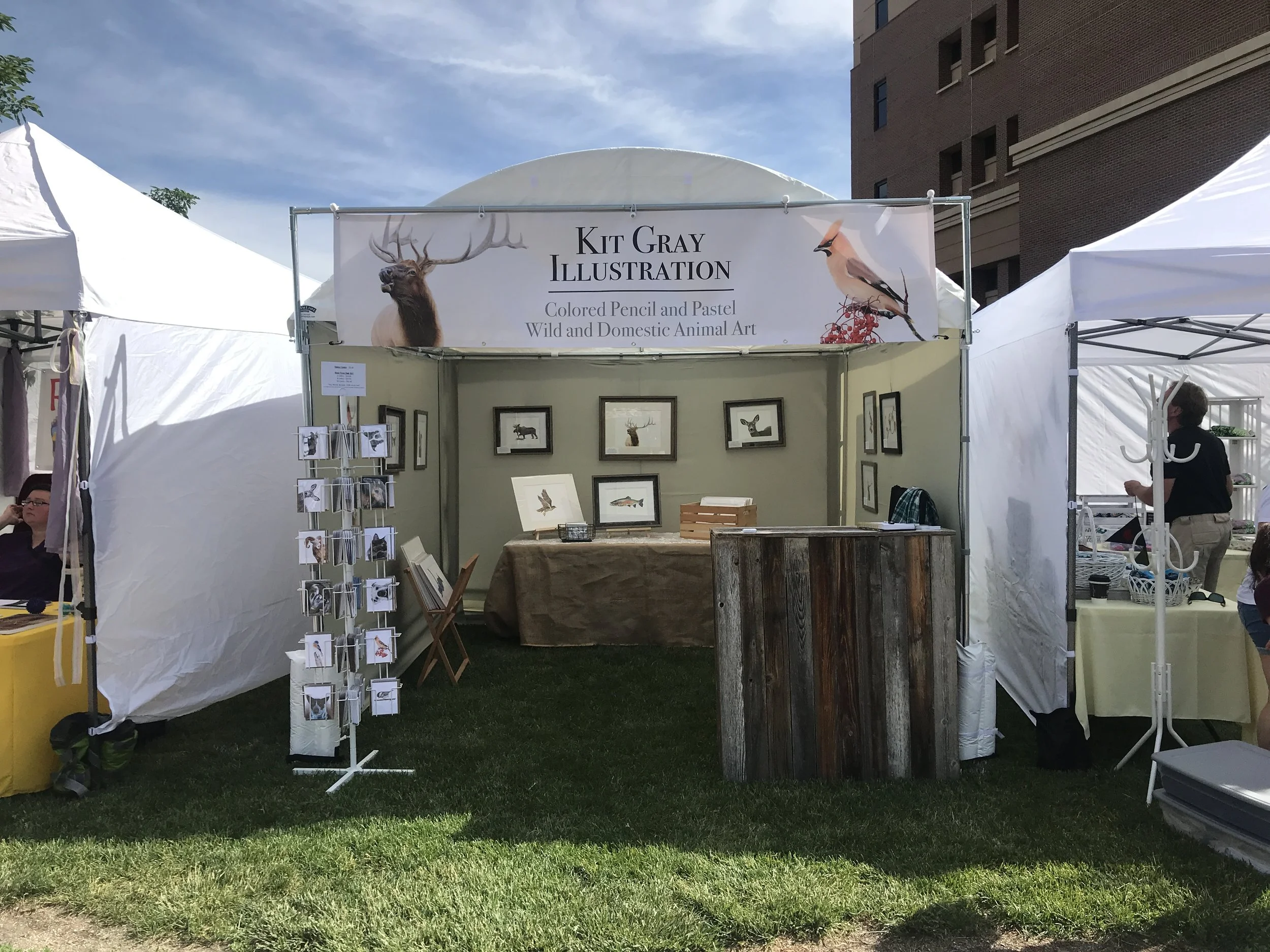 My Experience with a Colorado Creative Industries Grant