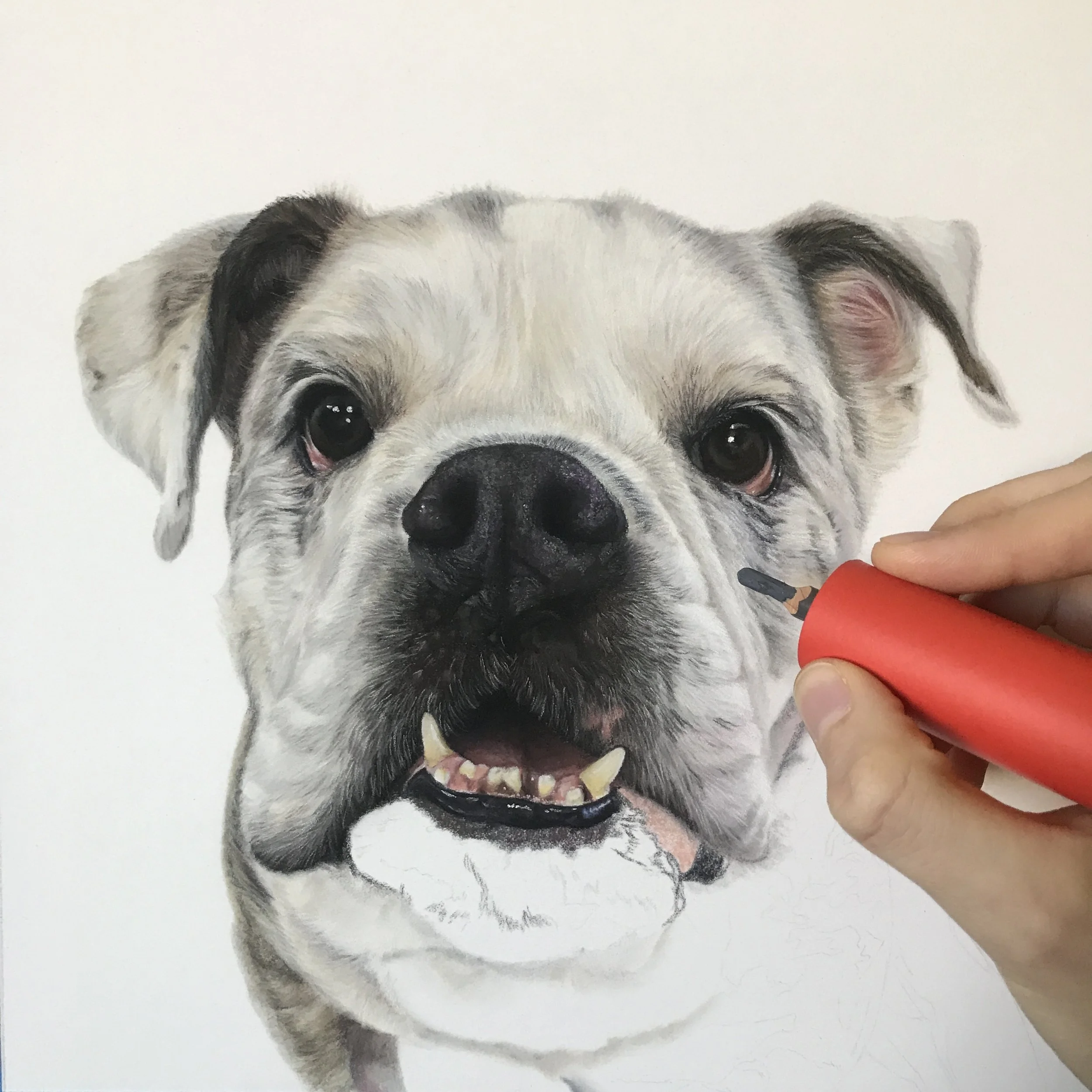 I thought I planned it out right.