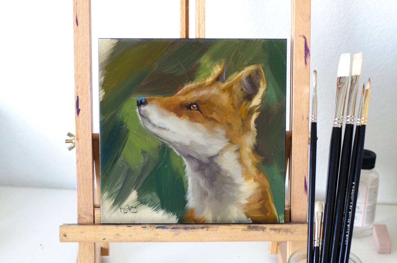  “Red fox study” - Oil sketch on archival panel, 8” x 8” 