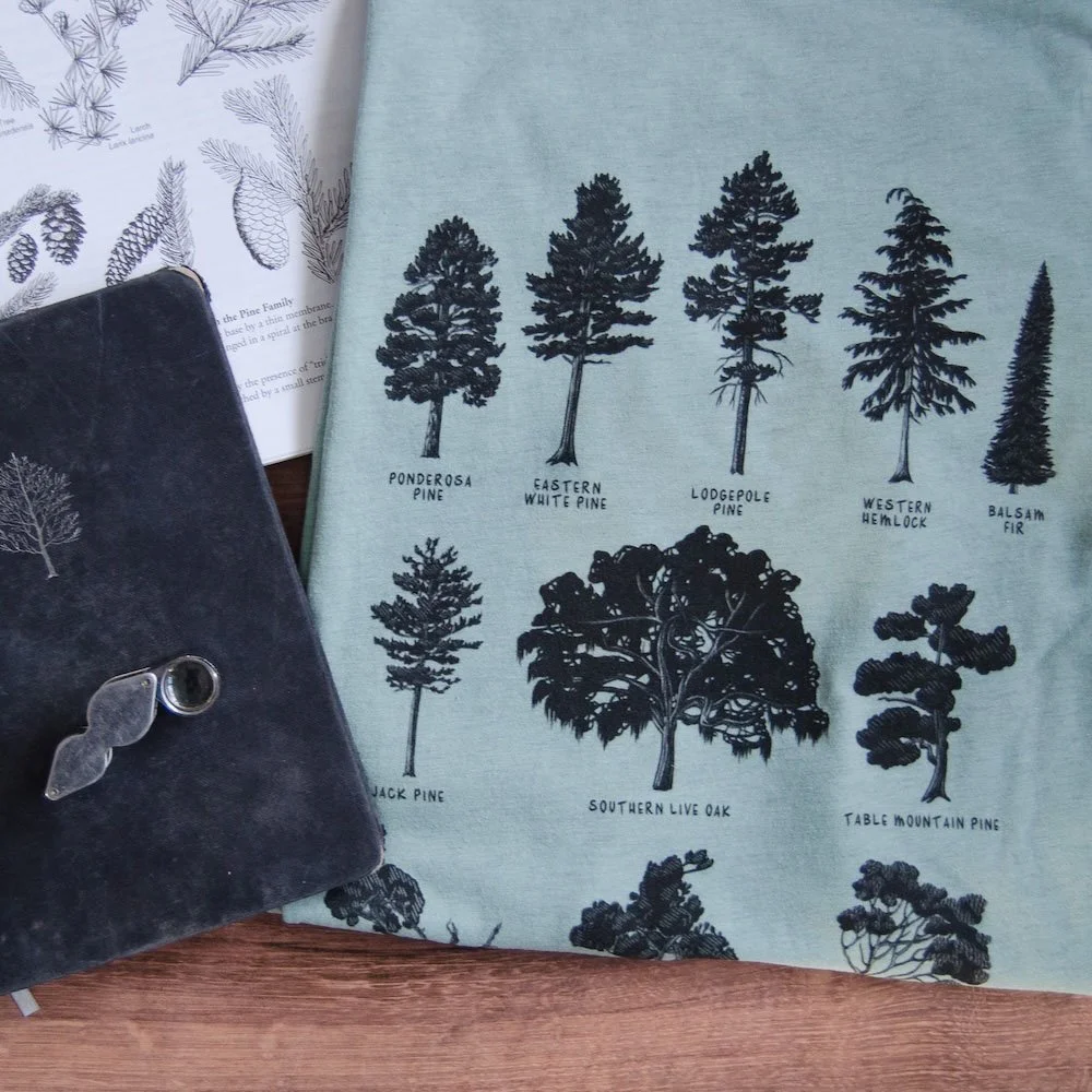 Close up of a folded pale dusty blue tee with black tree silhouette drawings. Hand lens, notebook, and field guide are seen.