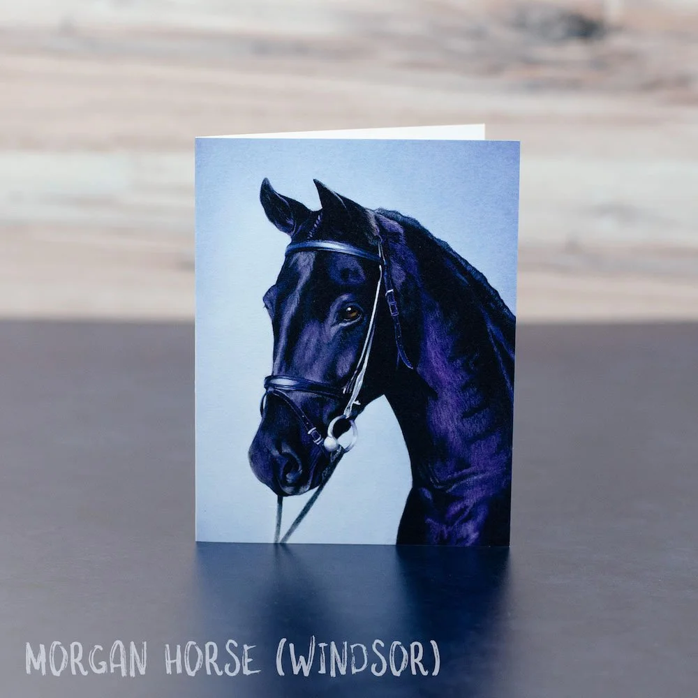 Pastel drawing of a black morgan horse with a bridle and cool blue highlights. Art is shown printed on a blank greeting card.