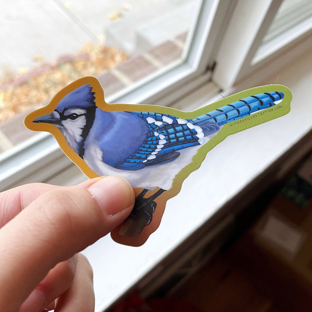 Blue Jay Sticker