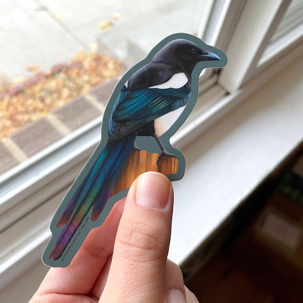 Black-billed Magpie Sticker