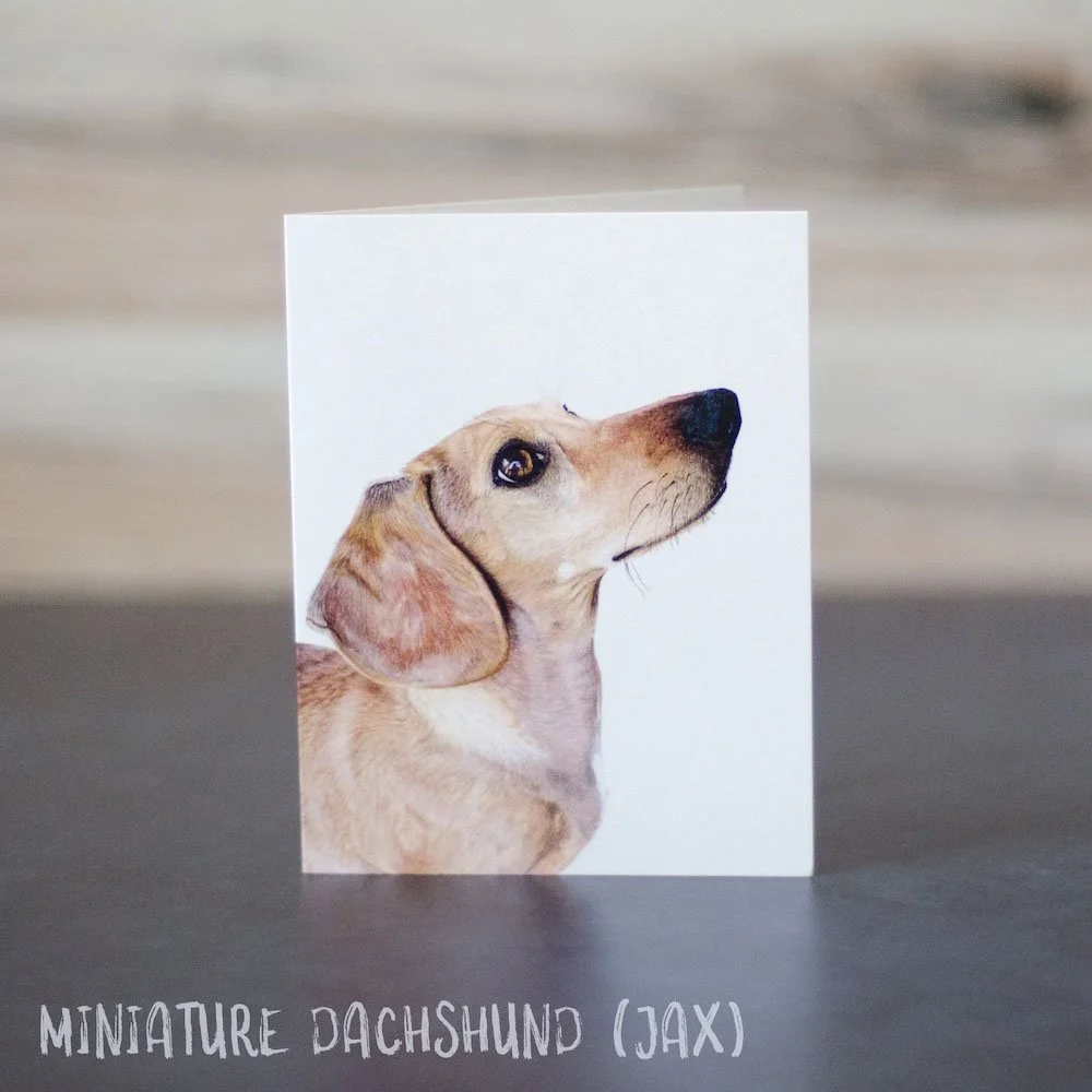 Colored pencil drawing of a tan mini dachshund looking up toward a person. Art is shown printed on a blank greeting card.