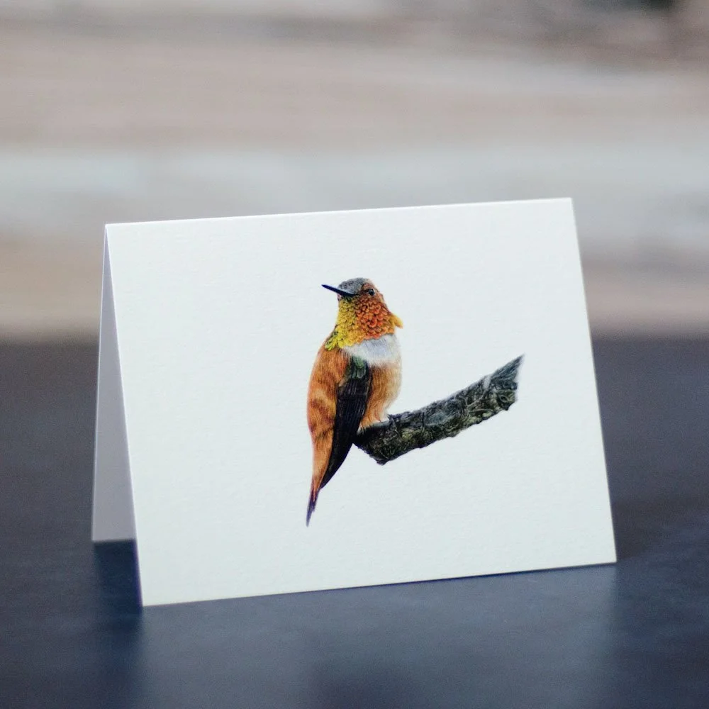 Colored pencil drawing of a rufous hummingbird in bright orange plumage. Illustration is printed on a blank greeting card.