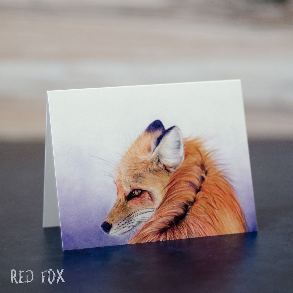 Pastel drawing of a red fox in windy weather. Illustration is shown printed on a blank greeting card.