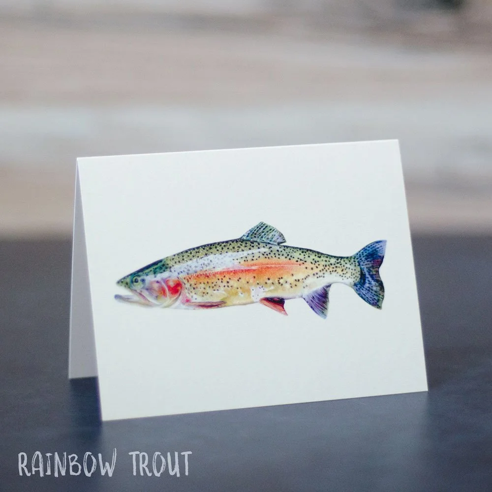 Pastel drawing of a colorful rainbow trout from the side. Illustration is shown printed on a blank greeting card.