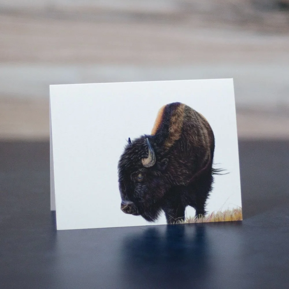 Great Plains Card Set