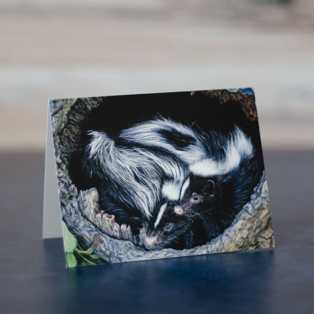 Pastel drawing of 2 striped skunk kits (babies) huddled together in a hollow log. Drawing is printed on a blank greeting card.