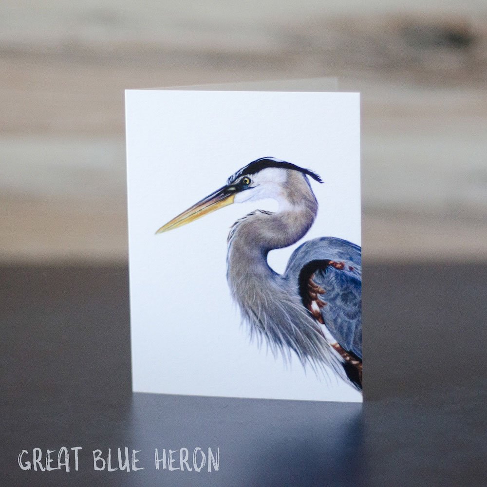 Detailed pastel drawing of a great blue heron from the side. Illustration is printed on a blank greeting card.