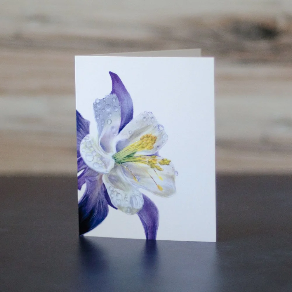 Pastel drawing of a Colorado blue columbine with water droplets on the petals. Art is printed on a blank greeting card.