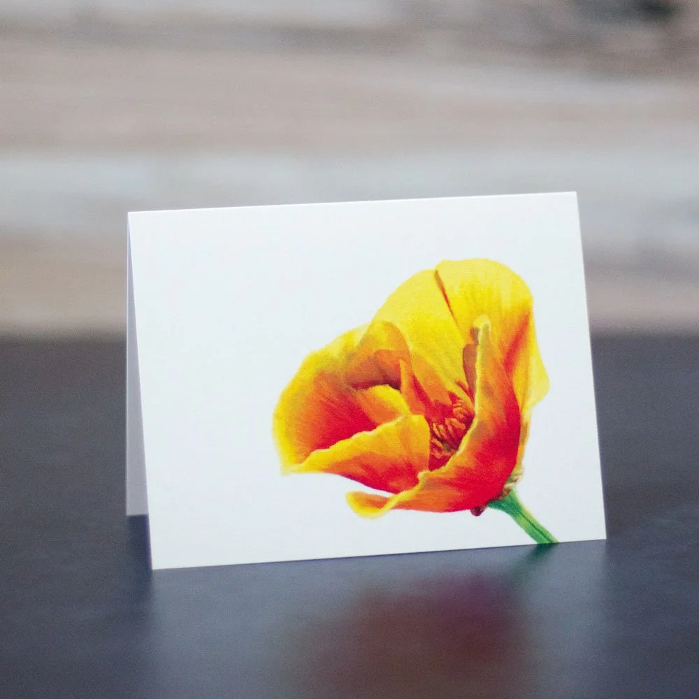 Pastel drawing of a bright orange and golden yellow California poppy wildflower. Art is printed on a blank greeting card.