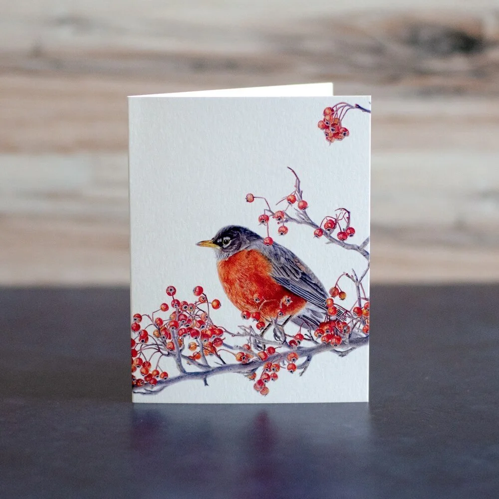Backyard Birds Card Set